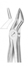  Fig. 51S upper roots for children 
